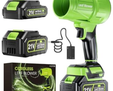 Leaf Blower Cordless with Battery and Charger